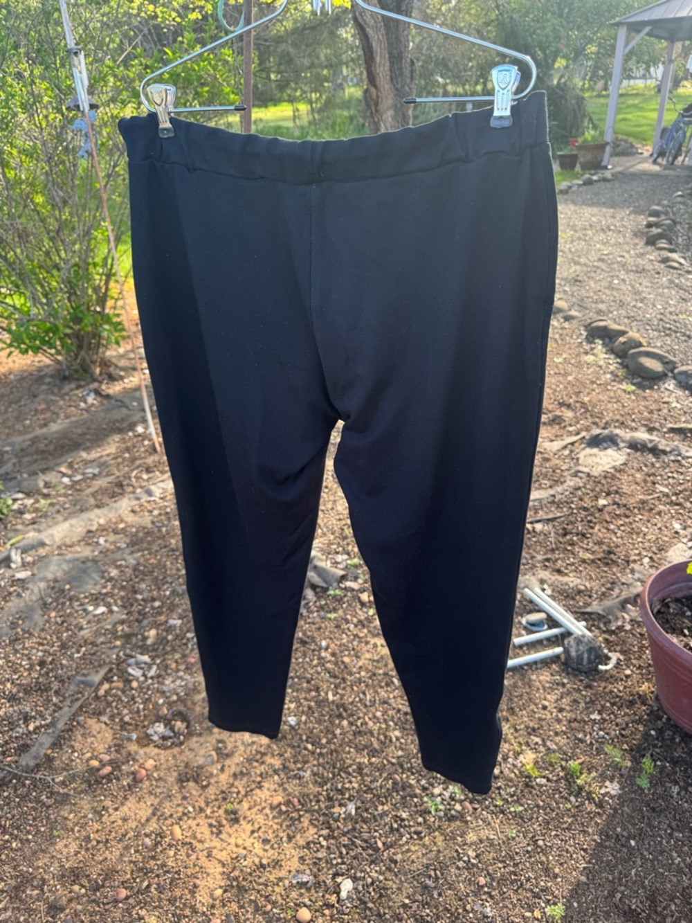 Style & Co. Women's Black Skinny Pants